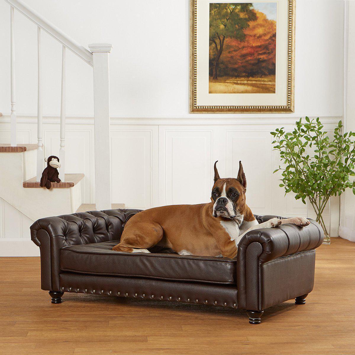 Big dog on the leather sofa