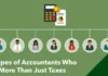 types of accountant